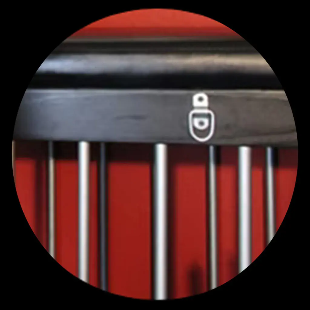 Austin Dominatrix Scarlet Vexus | Booking | Image 1