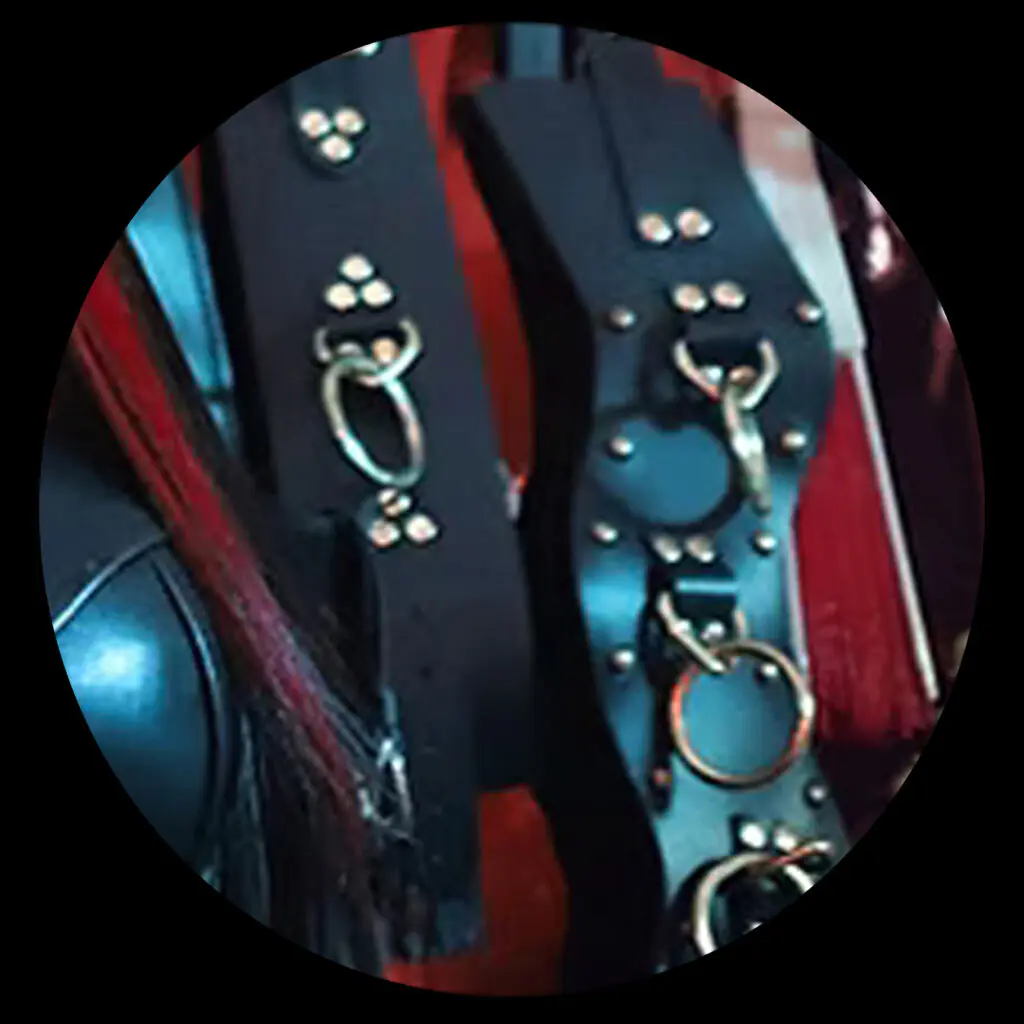 Austin Dominatrix Scarlet Vexus | Booking | Image 3